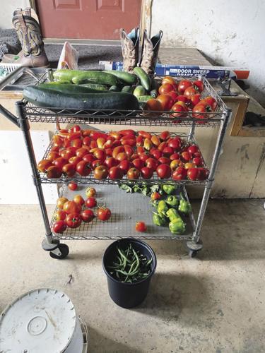 CW Eitemiller 1 worked.jpg