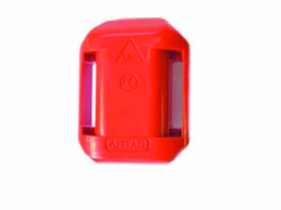 Pedometer Plus