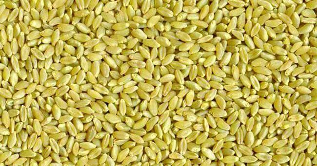 Durum harvest, world production putting pressure on prices