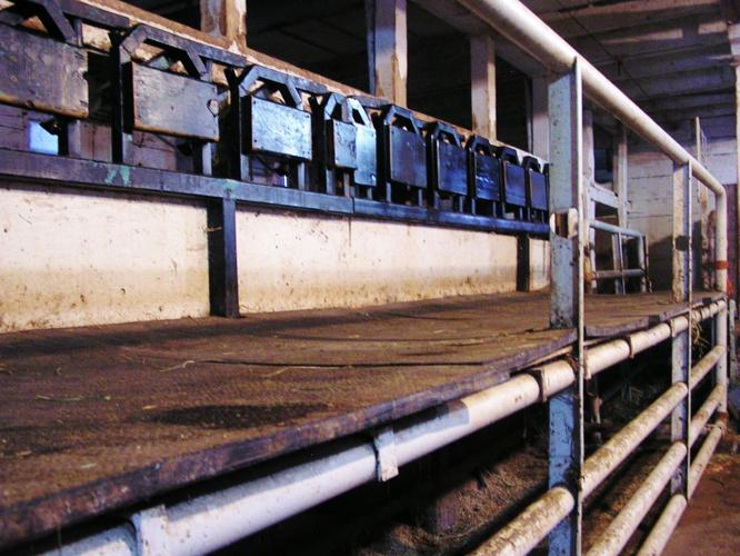 Milking platform