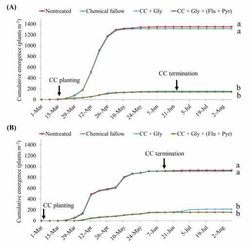 Emergence of glyphosate-resistant kochia