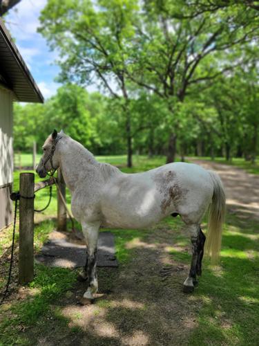 4 Coco Pic #2_20240523_122415 (1).jpg