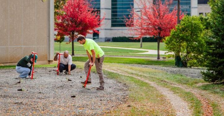 MSU landscaping