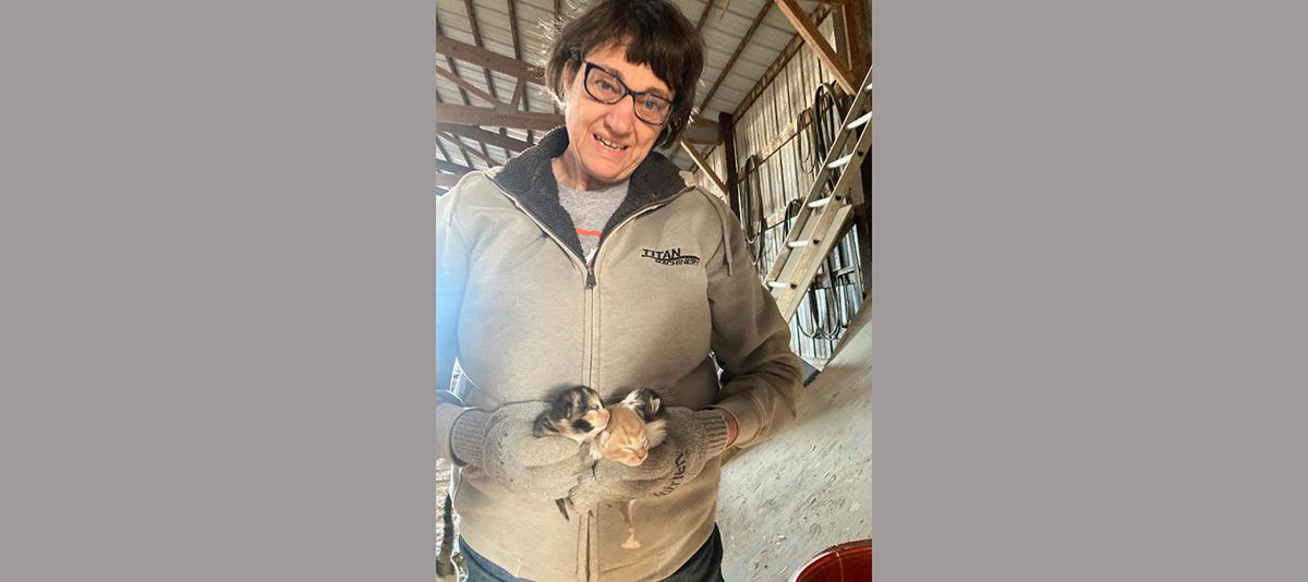 Barb Batie kittens