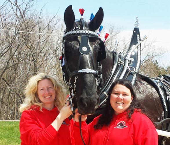 Cinderella Carriage makes dreams come true