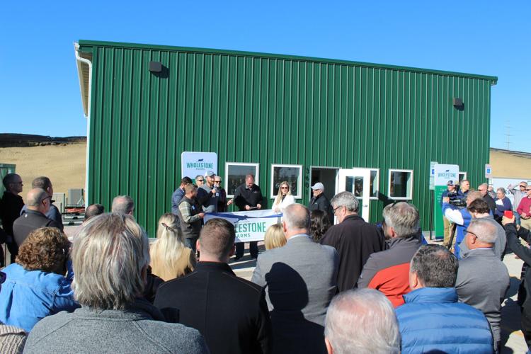 Wholestone butcher (9).JPG