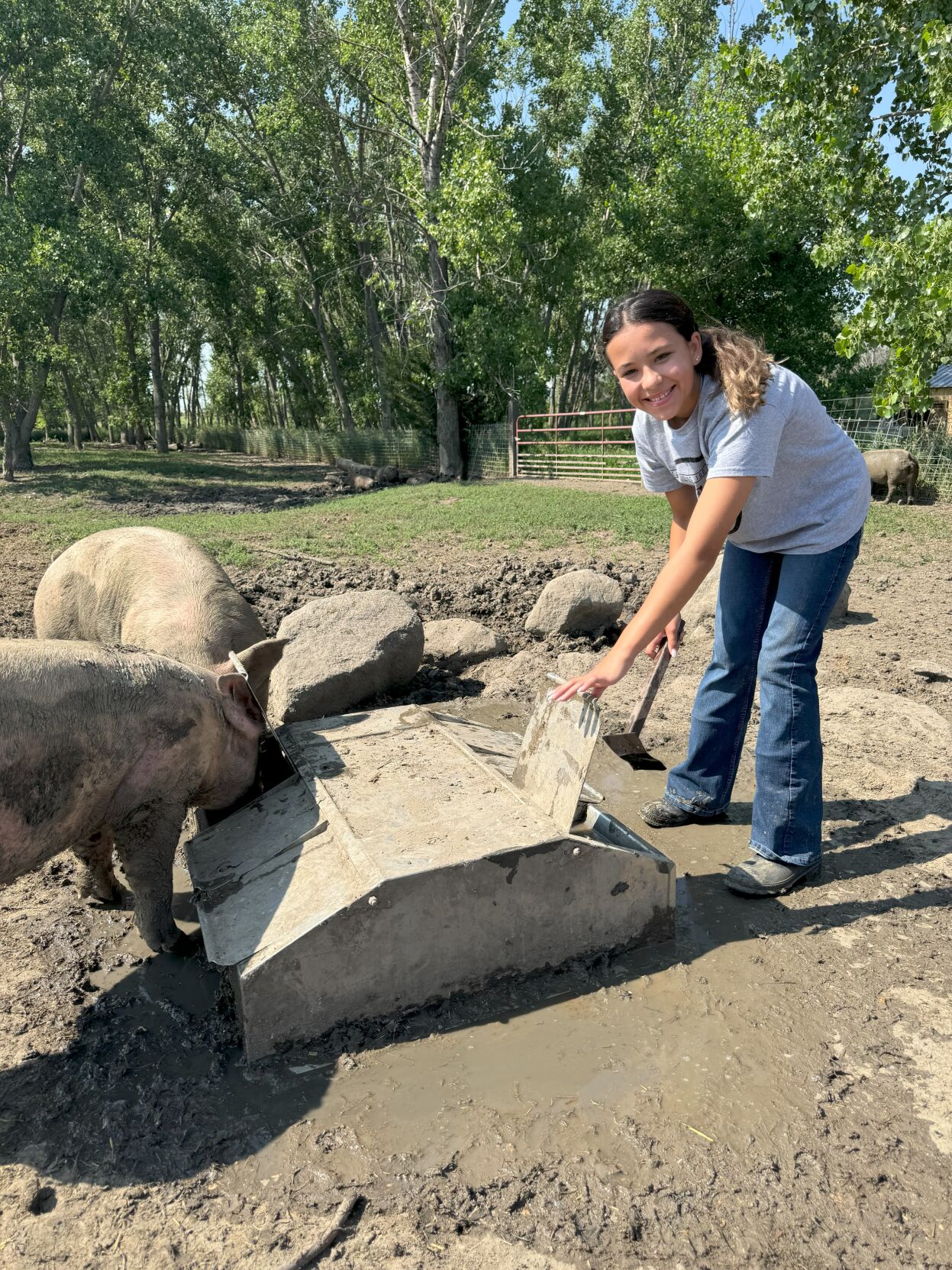 State Fair Gettysburg Pig Project 2.jpg