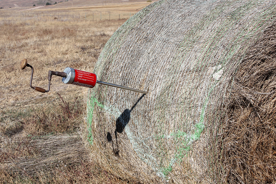 hay probe