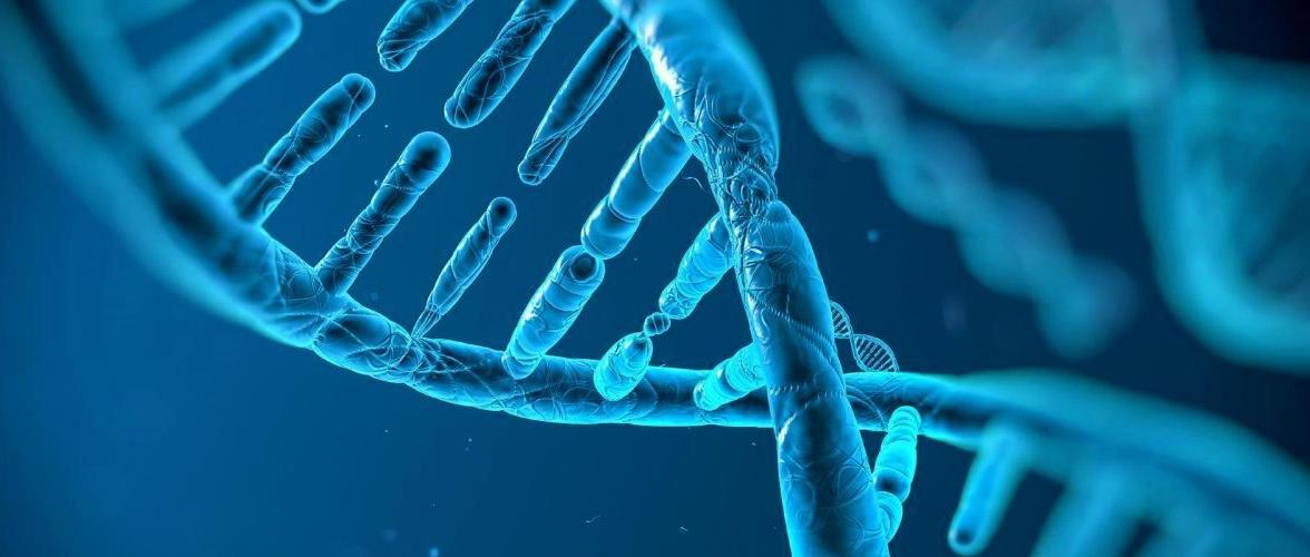 DNA
