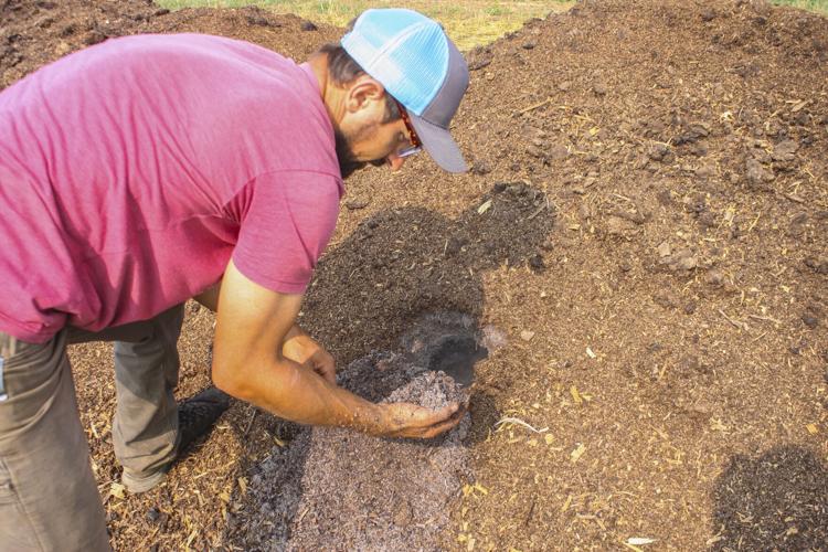 Compost