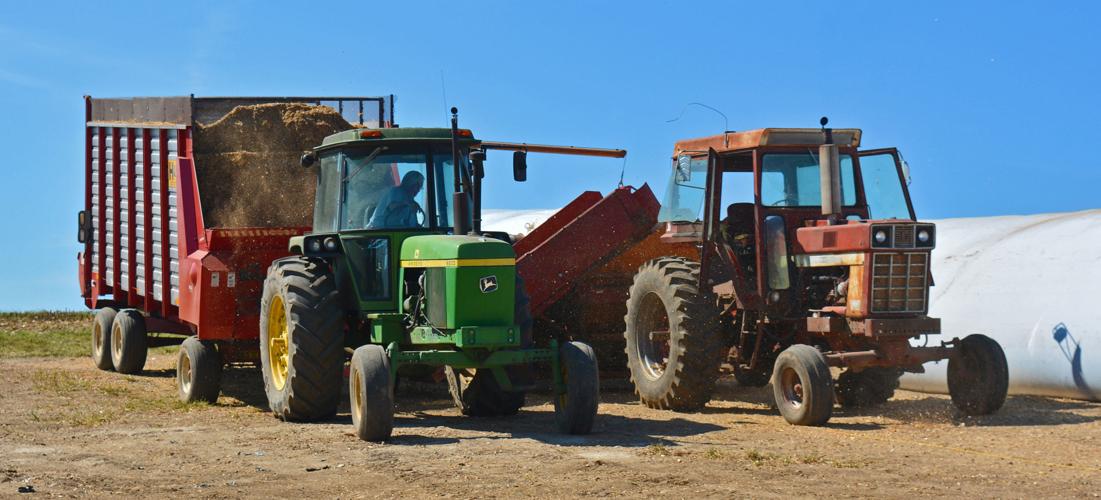 Jack Hass unloads corn silage