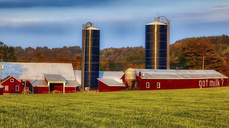 Dairy farm with barn and silos