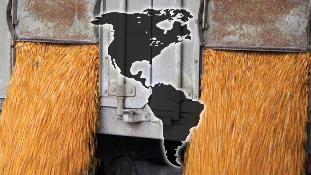 Concern grows over Mexico’s stance on GMO corn