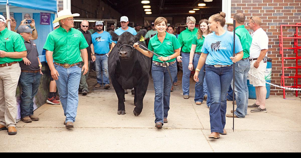 Charity Steer Show returns to Iowa State Fairgrounds in August