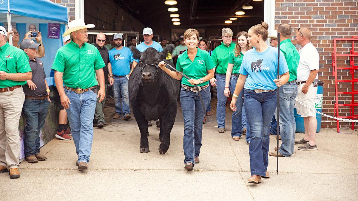 2019 Governor's Charity Steer Show