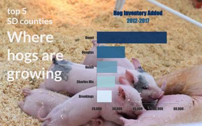 Hog growth