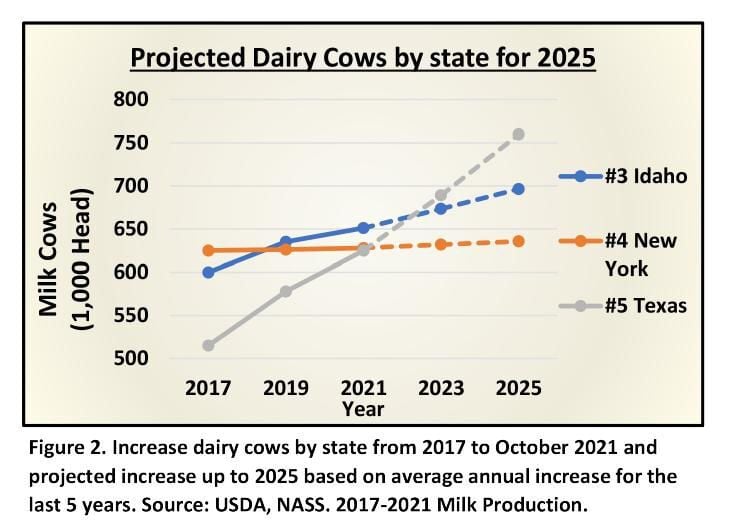 Projected dairy cows by state for 2025