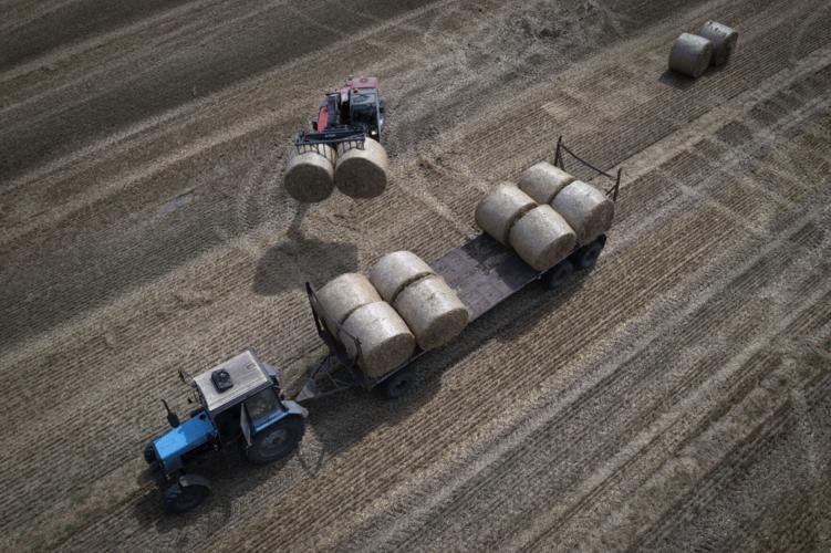 Ukraine field