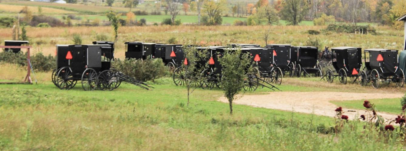 Amish buggies