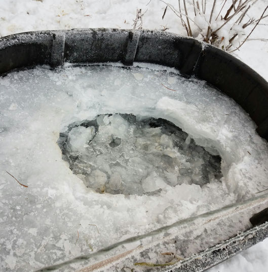 Snow meets sheep water needs Livestock