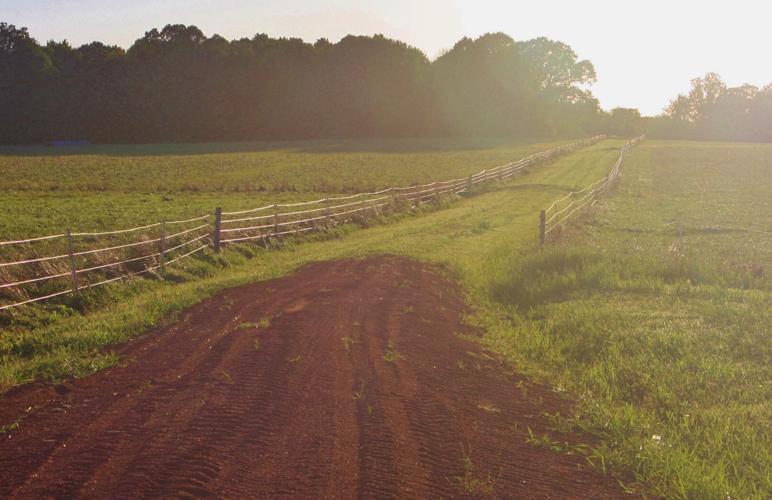 Farm lane with fields