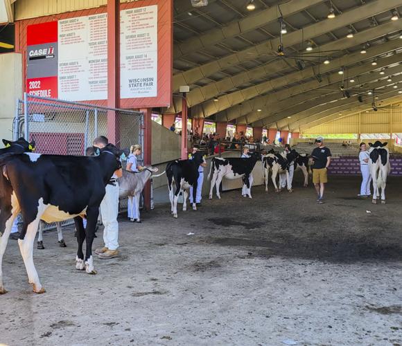Junior dairy cow show entrance at 2022 Wisconsin State Fair
