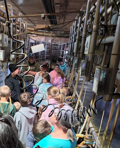Buffalo County 4-H 2.JPG