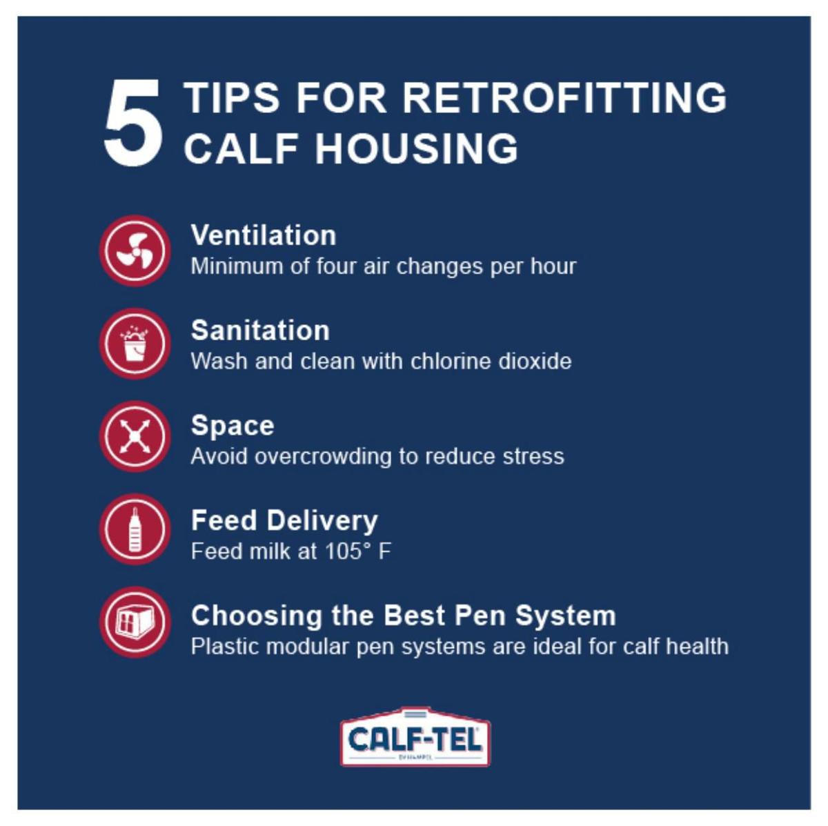 5 tips for retrofitting calf housing