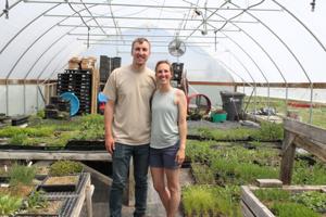 Propagating the prairie: Couple creates business out of raising native plants