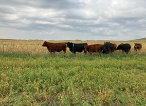Farmers For Soil Health