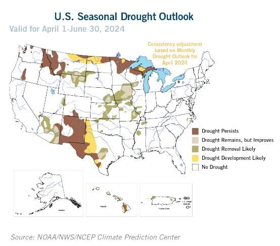 Soybeans expected to pull acres 4