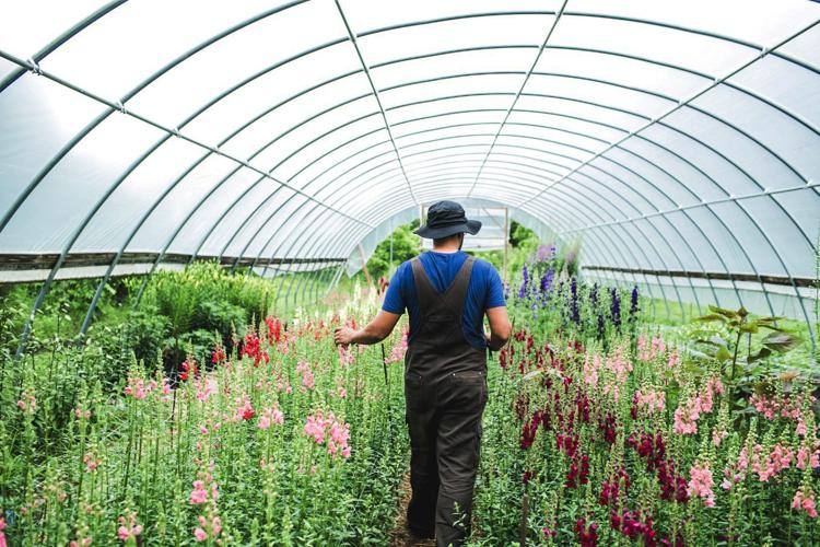 Hans Larsen in Hoophouse