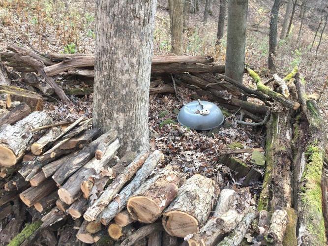 Chris Hardie deer stand