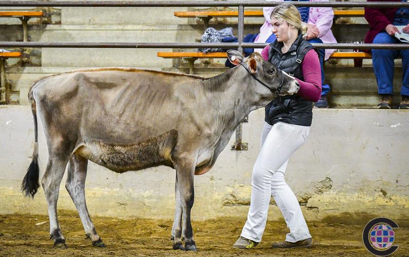 Rebecca Tank with Sapphire