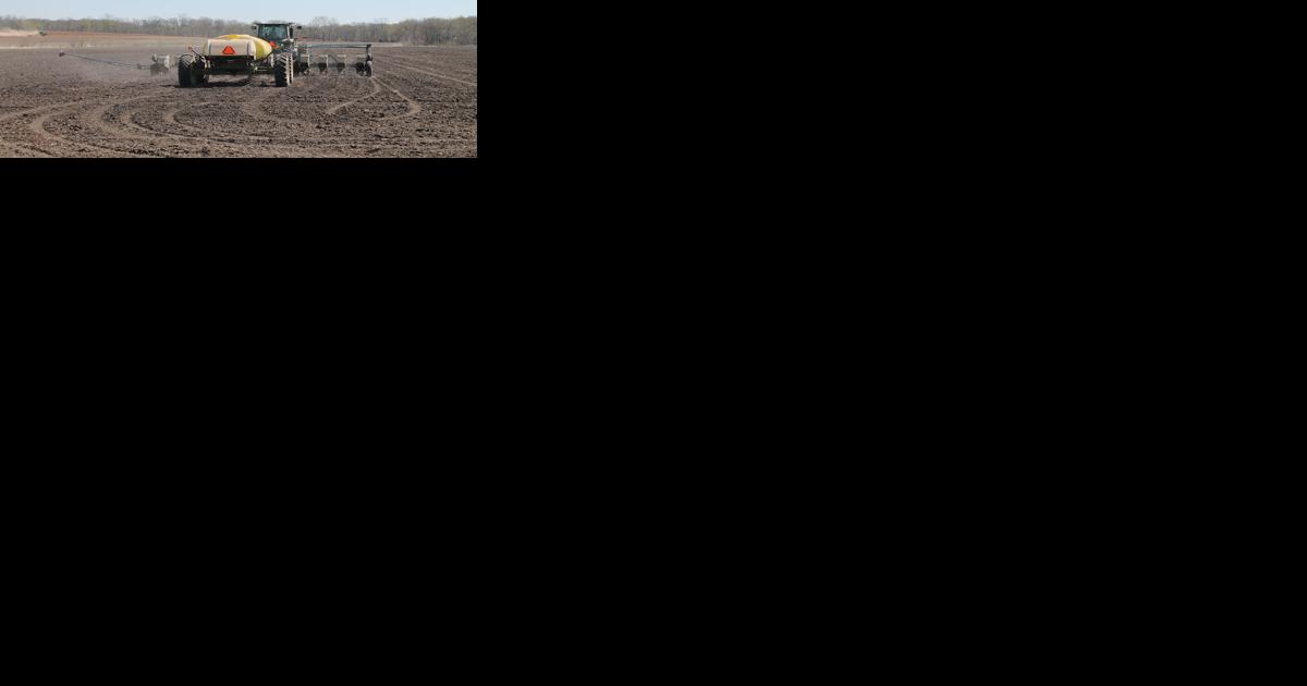 Farmers watch input costs as crop prices decline - Vimarsana News