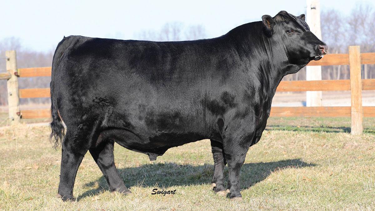 Kramer Farm’s Payweight