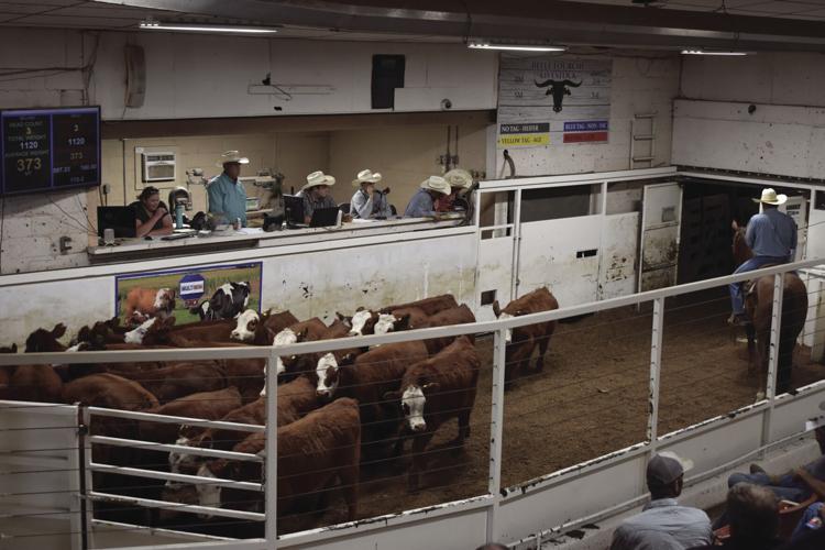 Kids Sale Barns (51).JPG