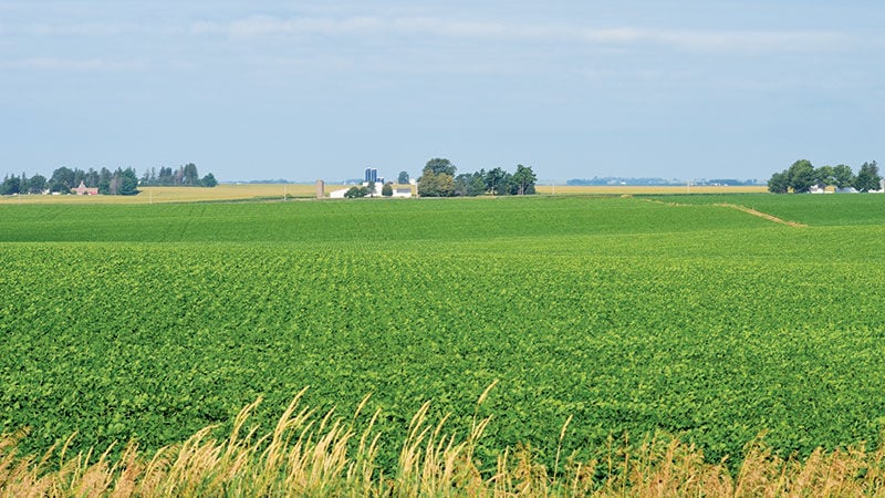 Farmland lease