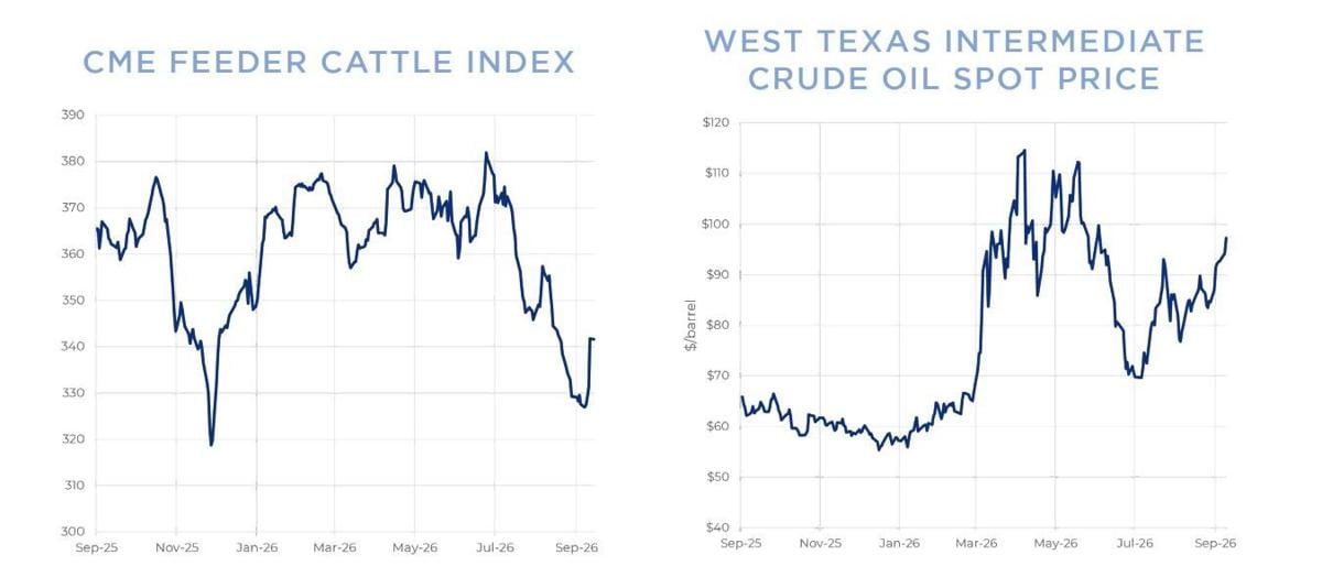 Feeder cattle, crude oil