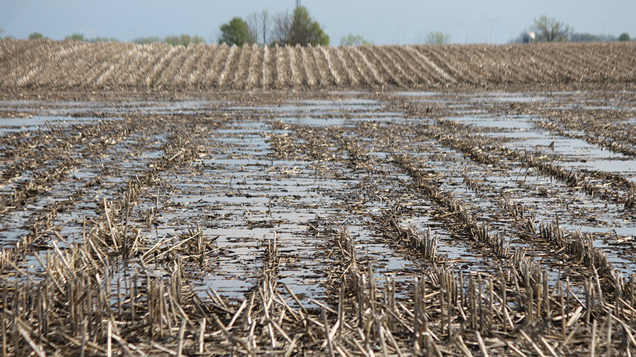 ground is still saturated in Northeast Illinois