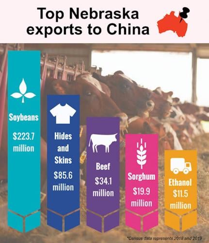 China beef exports infographic