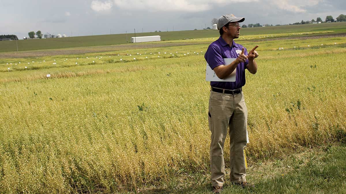 professor Mark Bernards explains pennycress and covercress