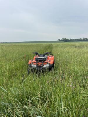 Grazing for interseeding