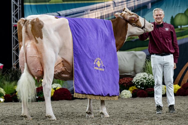 World Dairy Expo 2025