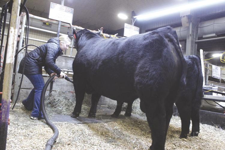 SELS 2024 (5) - worked.jpg