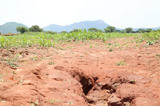 Gully erosion