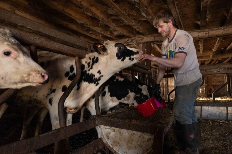 Photo Story: Wisconsin's young dairy farmers