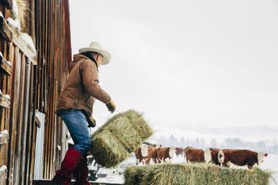 Farmer winter