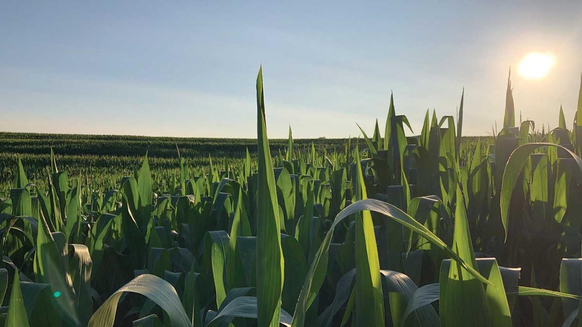 Solar-Flares-photo-BH