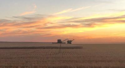 Kansas harvest